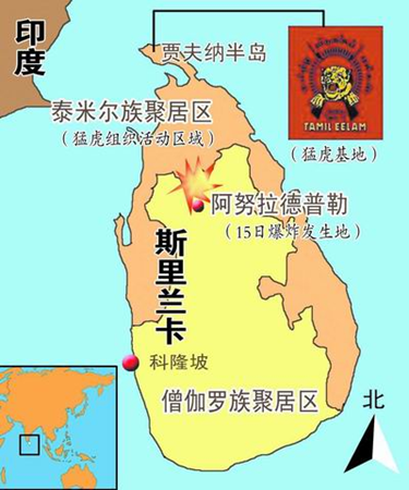 印度洋岛国选手技压群芳，夺目只是开始的简单介绍