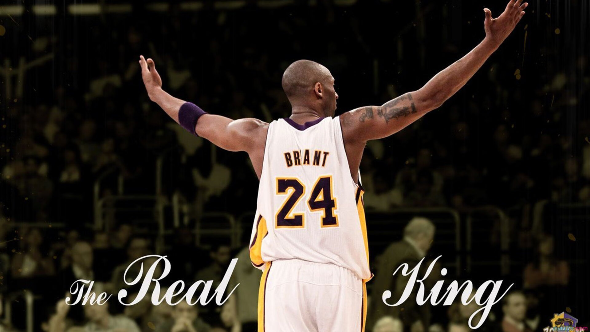 亚洲风暴席卷欧洲堡垒,印尼轻取德国,陈雨菲状态持续火热